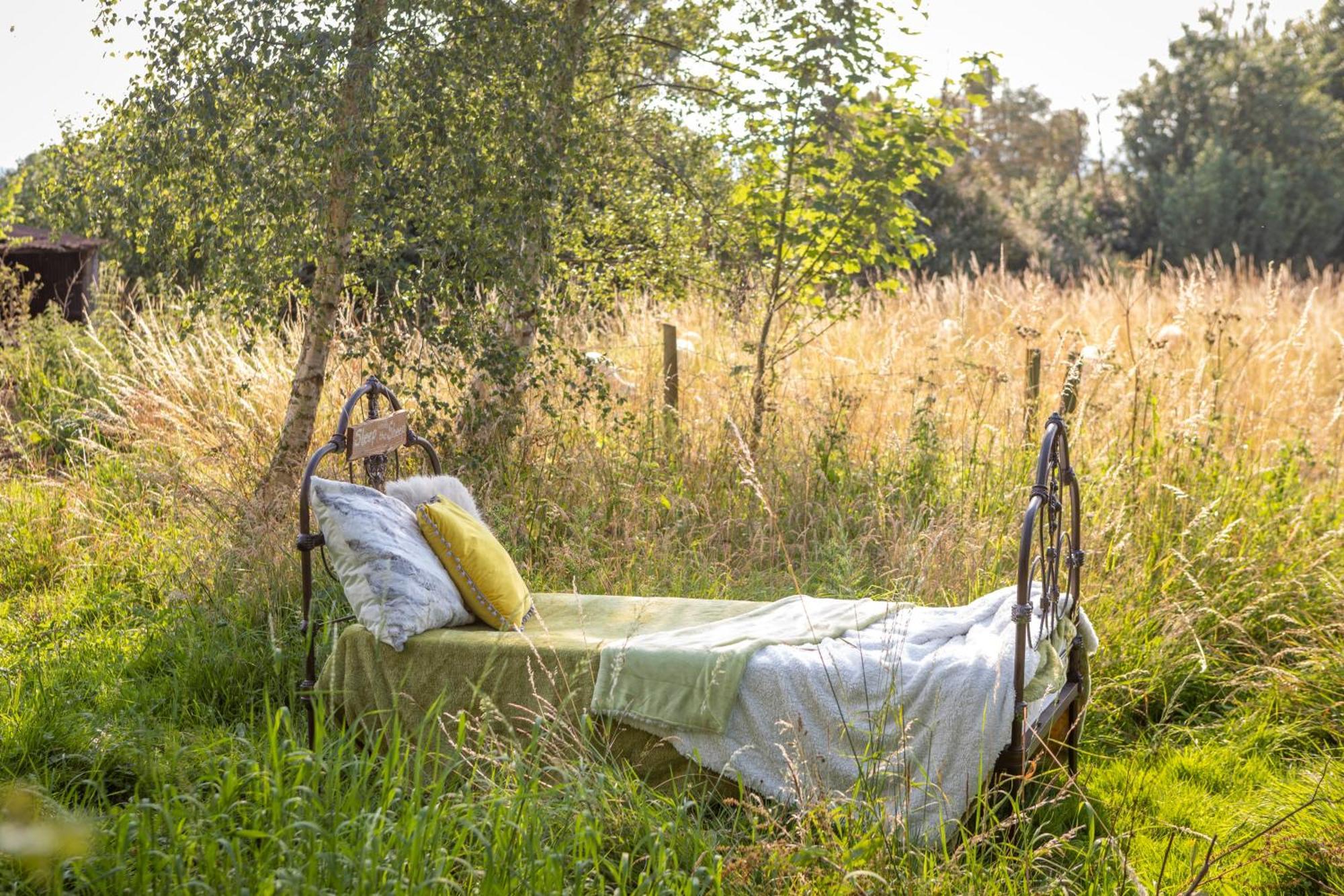 Stargazer Glamping Uk Orion 4-person