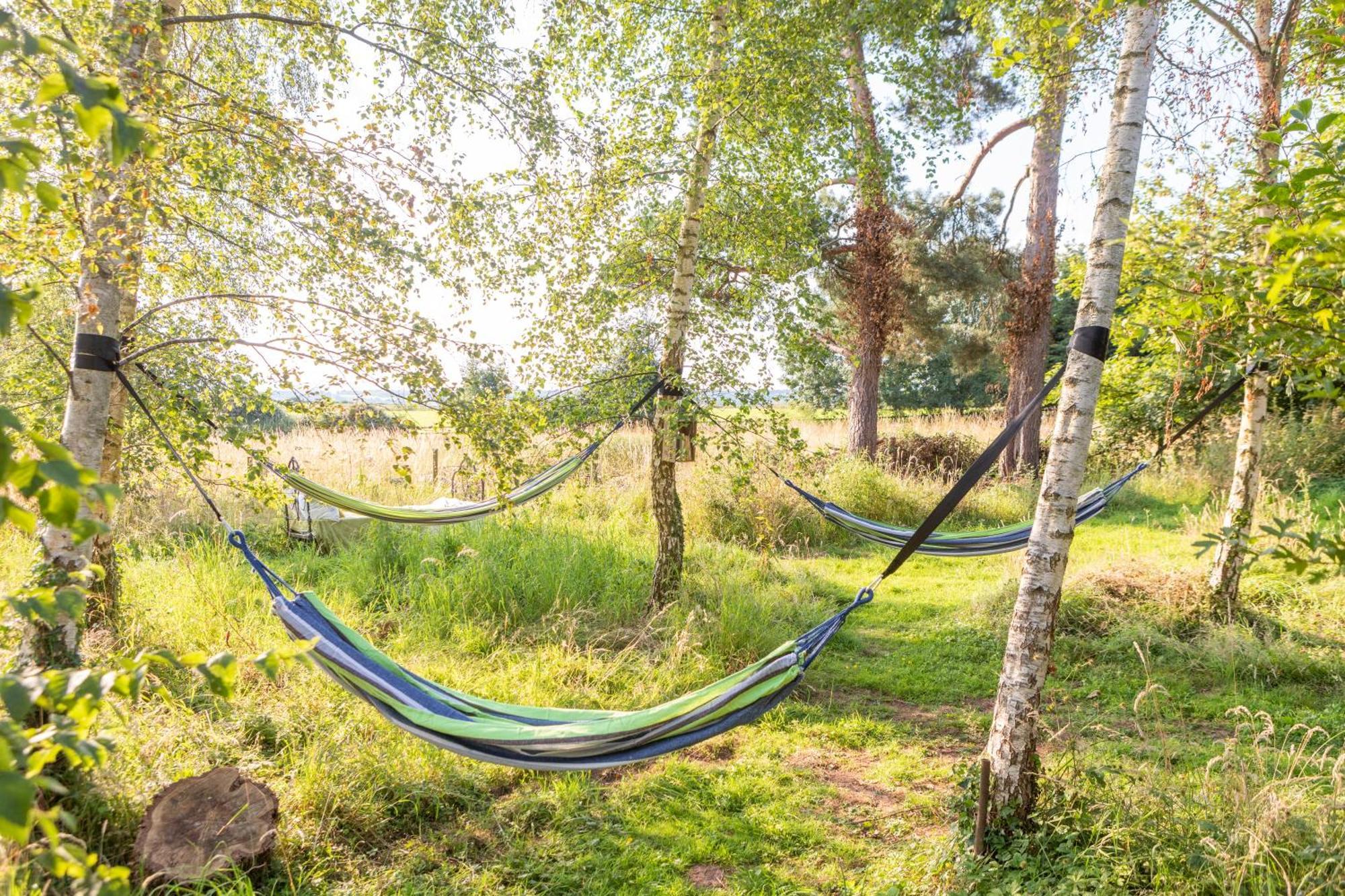 Stargazer Glamping Uk Orion 4-person Luxury tent *